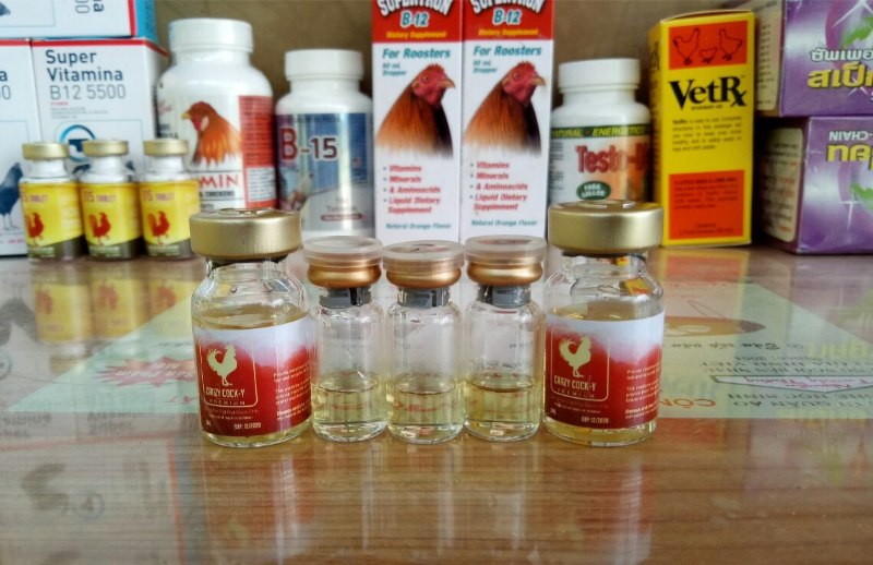 Điểm qua những loại thuốc cơ bản dành cho gà đá 