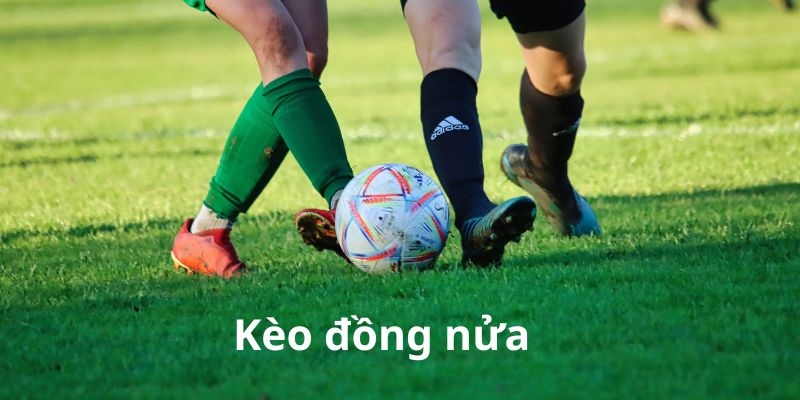 Kèo đồng nửa có nhiều tên gọi khác nhau